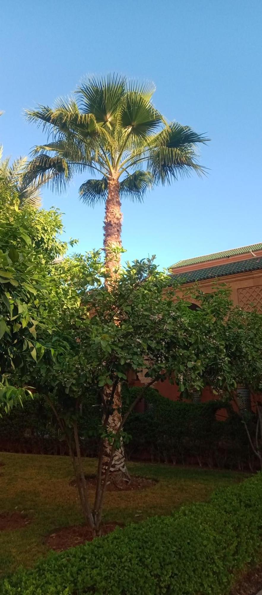 Riad Al-Bushra Marrakesh Ngoại thất bức ảnh