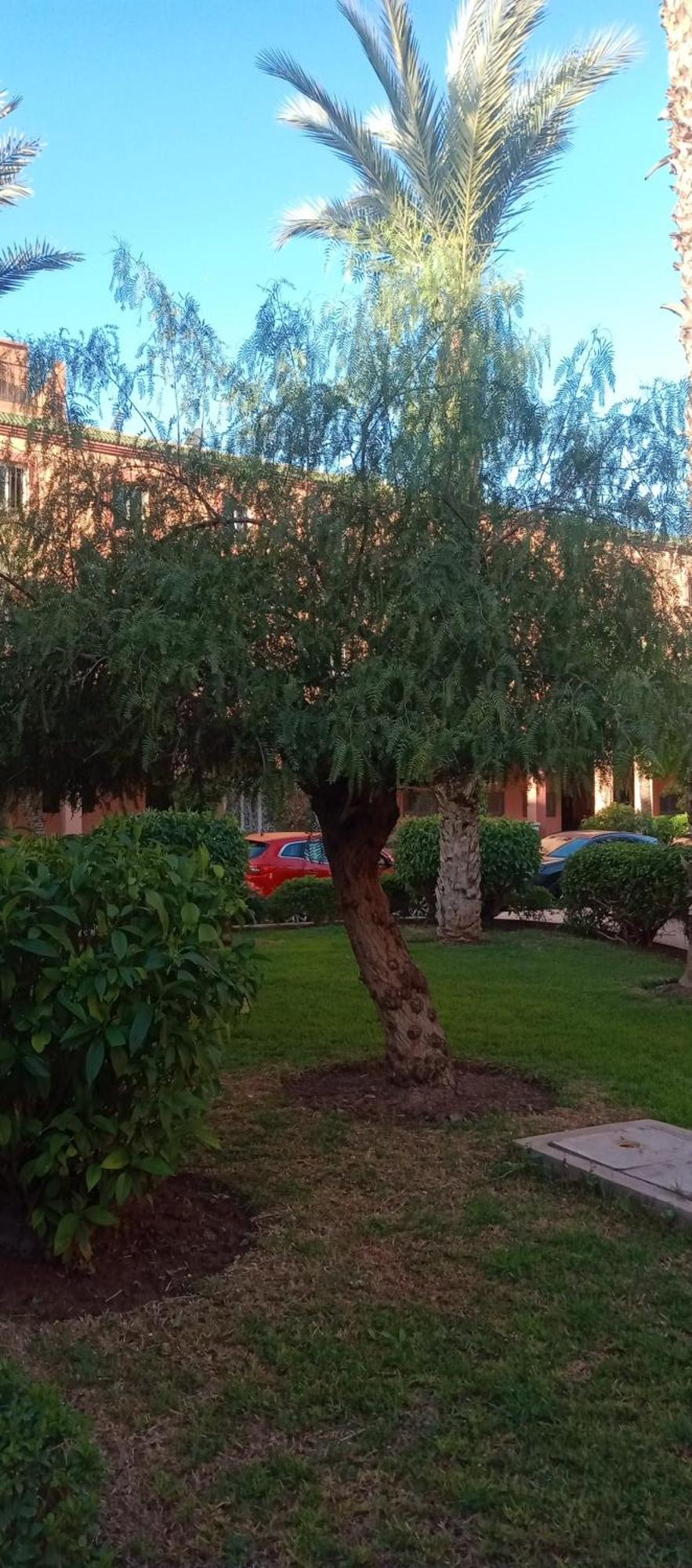 Riad Al-Bushra Marrakesh Ngoại thất bức ảnh