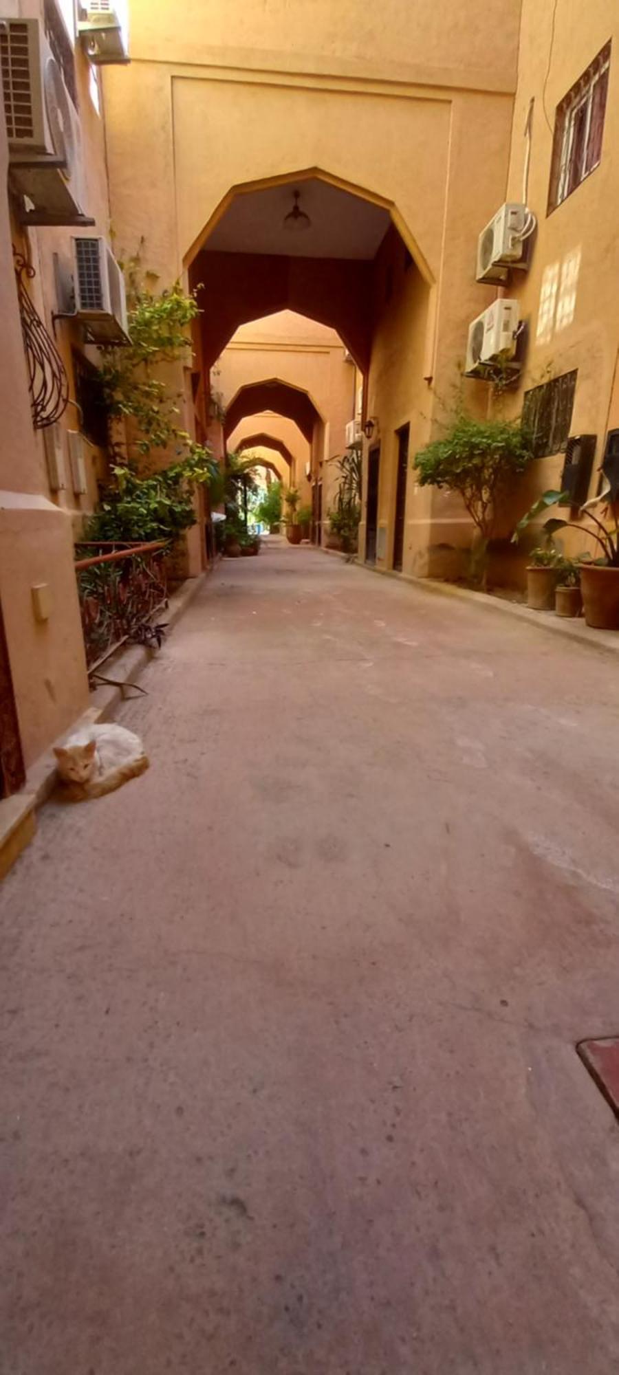 Riad Al-Bushra Marrakesh Ngoại thất bức ảnh